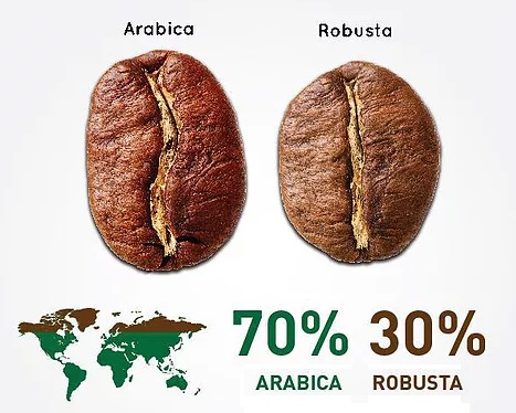 Las diferencias entre los cafés Arábica y Robusta